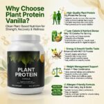 Plant Protein (Vanilla) - Image 5