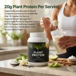 Plant Protein (Vanilla) - Image 4