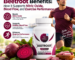 Tibbora beetroot capsules for nitric oxide support, healthy blood flow, and exercise performance.